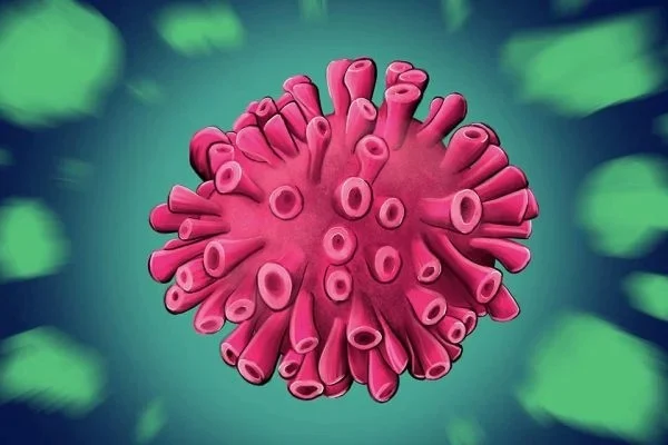 4ª onda: reinfecção do coronavírus pode aumentar risco de Covid longa? 6