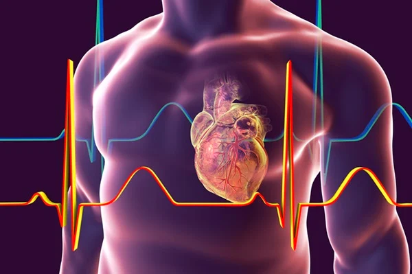 Dor no peito e suor frio: saiba os 10 sintomas de infarto 7