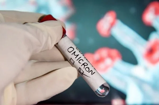 Covid: vacina 100% brasileira aguarda liberação para testes em humanos 4