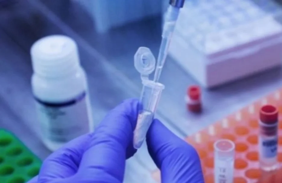 Covid: vacina 100% brasileira aguarda liberação para testes em humanos 11