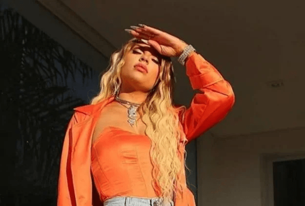 Luísa Sonza desabafa após indicação ao Grammy Latino: “Riram de mim” 8