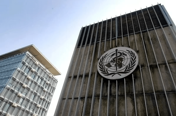 Gordura visceral pode agravar Covid, indica estudo da Unicamp e USP 13