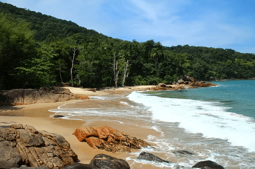 As melhores e as piores praias para o Ano-Novo em SP 2
