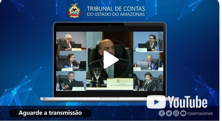 8a Sessão Ordinária do Tribunal Pleno - 8a Sessão Virtual 1